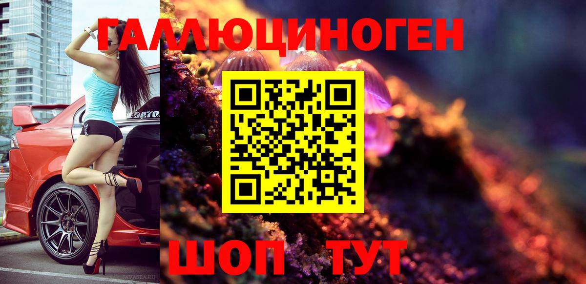 Галлюциногенные грибы GOLDEN TEACHER Краснознаменск