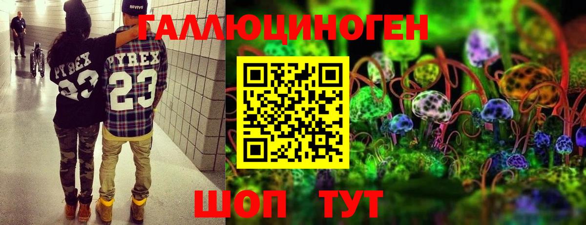 Псилоцибиновые грибы Psilocybine cubensis  Вход с VPN  Краснознаменск  Псилоцибиновые грибы GOLDEN TEACHER 